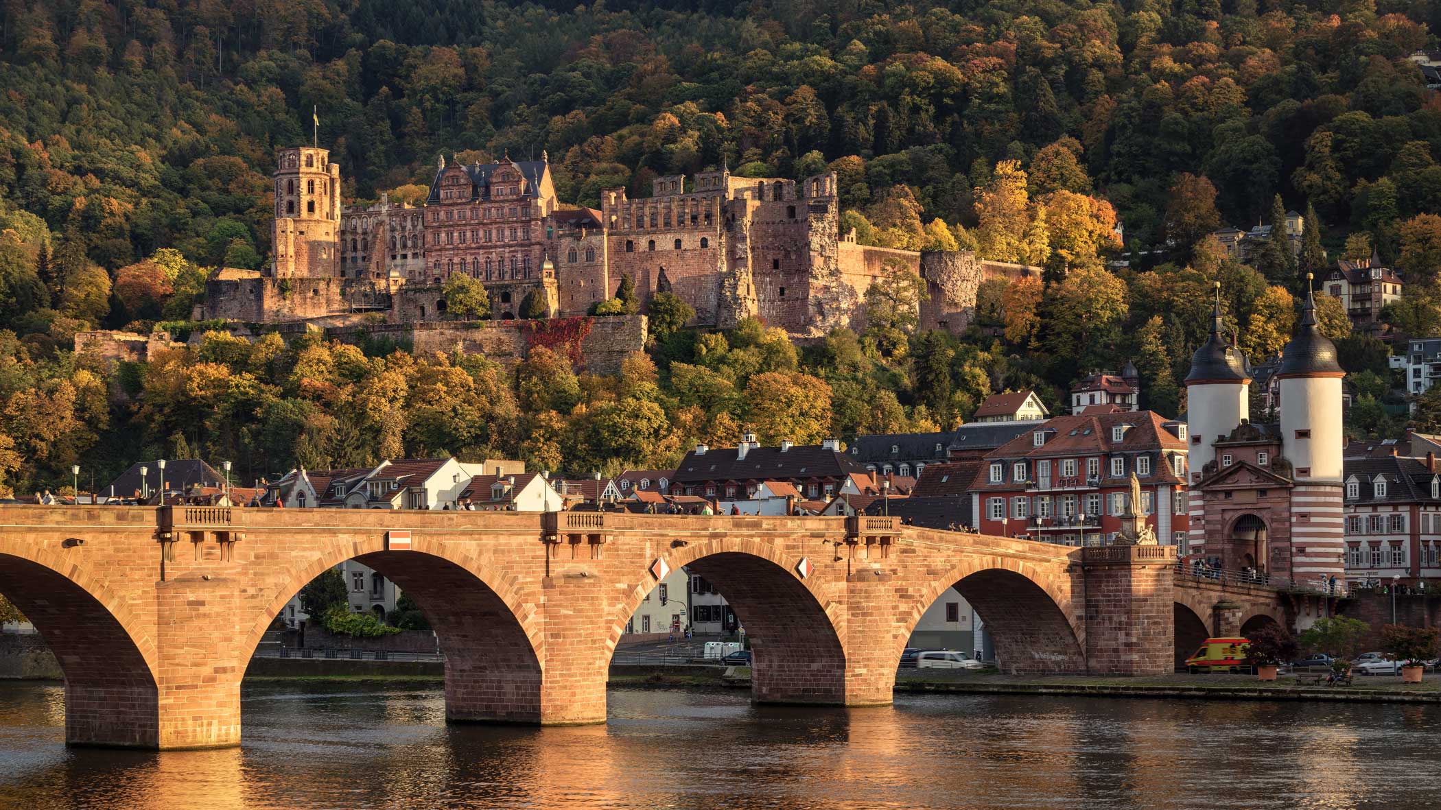 Blick über den Neckar auf das Schloss, welches von Bäumen mit herbstlich farbenen Blättern umgeben ist.
